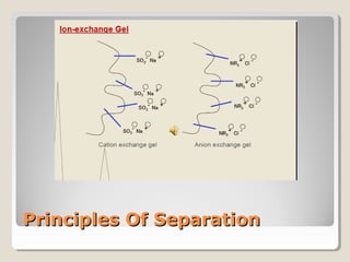 PPrriinncciipplleess OOff SSeeppaarraattiioonn 
 