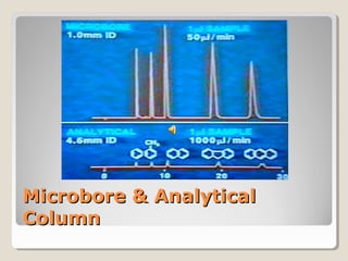 MMiiccrroobboorree && AAnnaallyyttiiccaall 
CCoolluummnn 
 