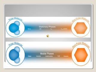 PPoollaarriittyy OOff SSttaattiioonnaarryy && MMoobbiillee 
PPhhaassee 
 