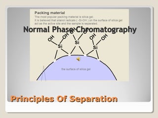 PPrriinncciipplleess OOff SSeeppaarraattiioonn 
 