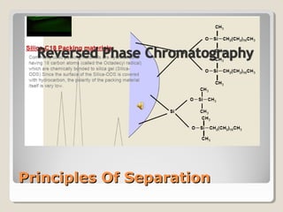 PPrriinncciipplleess OOff SSeeppaarraattiioonn 
 