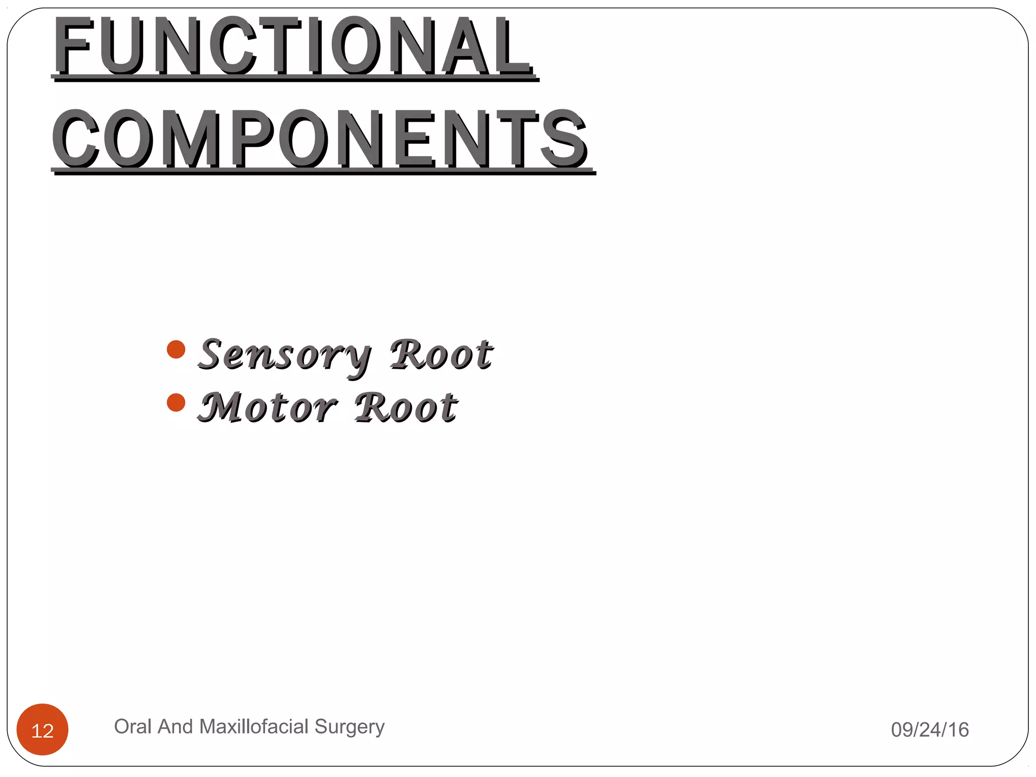 FUNCTIONALFUNCTIONAL
COMPONENTSCOMPONENTS
Sensory RootSensory Root
Motor RootMotor Root
09/24/16Oral And Maxillofacial Surgery12
 