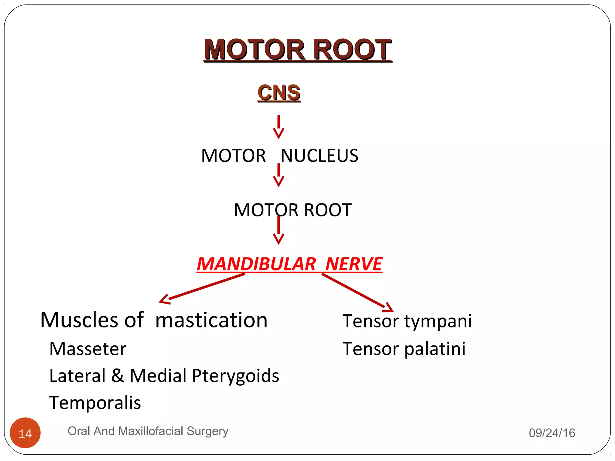 MOTOR NUCLEUS
MOTOR ROOT
MANDIBULAR NERVE
Muscles of mastication Tensor tympani
Masseter Tensor palatini
Lateral & Medial Pterygoids
Temporalis
09/24/16Oral And Maxillofacial Surgery14
CNSCNS
MOTOR ROOTMOTOR ROOT
 