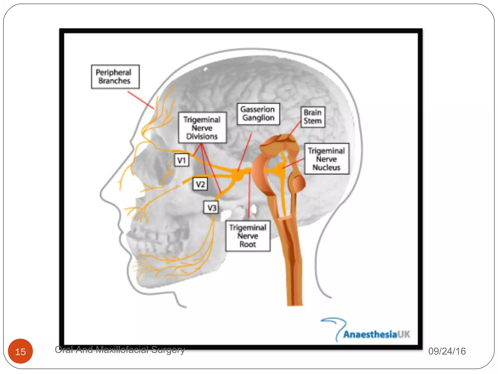 09/24/16Oral And Maxillofacial Surgery15
 