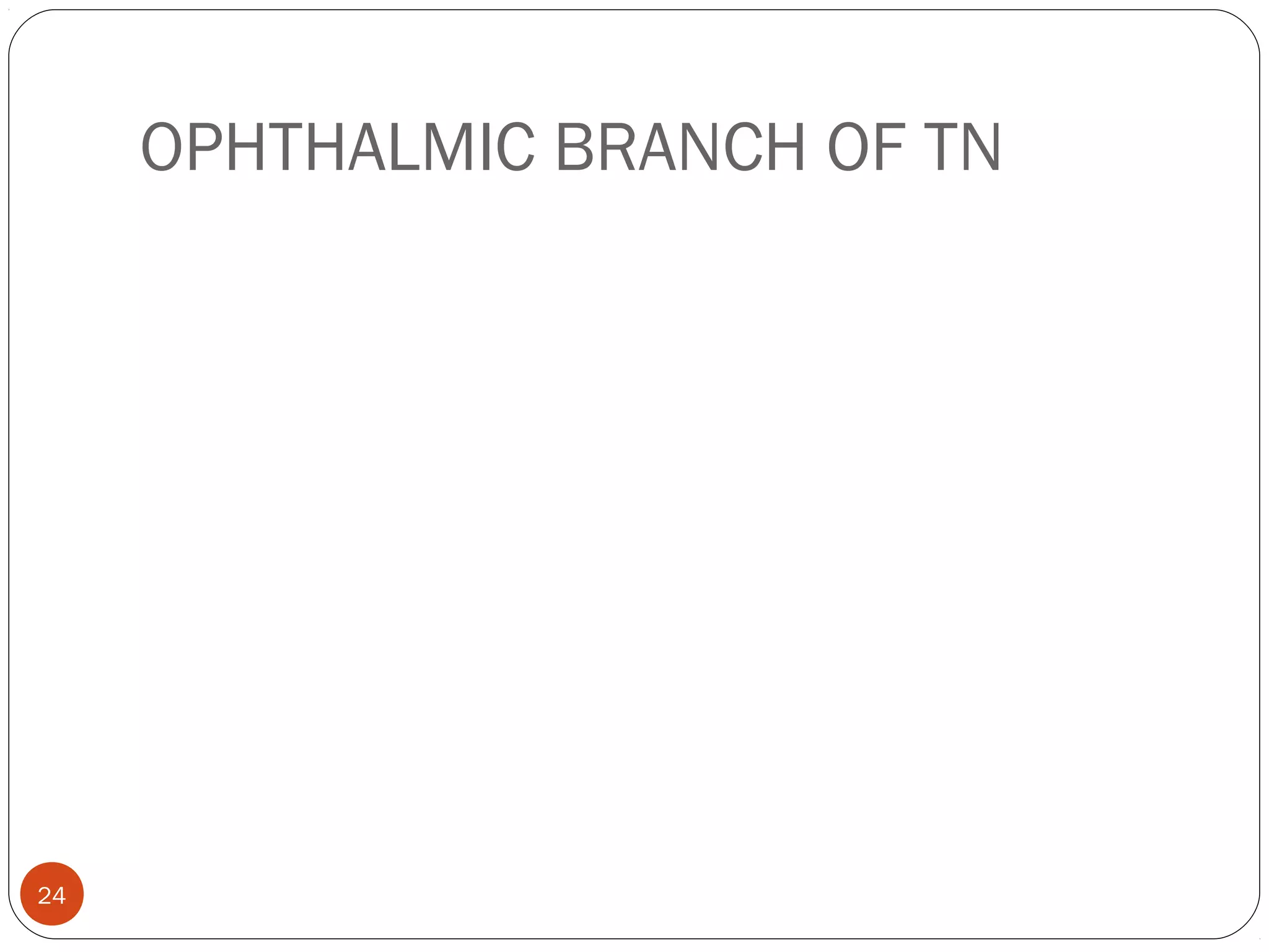 OPHTHALMIC BRANCH OF TN
24
 