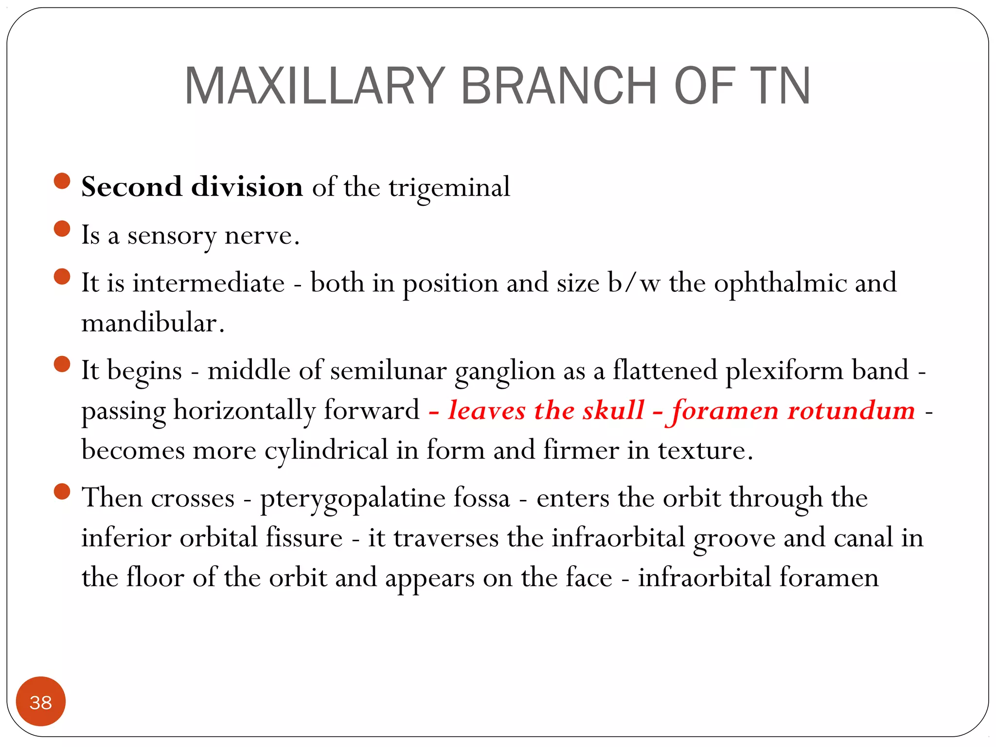 MAXILLARY BRANCH OF TN
Second division of the trigeminal
Is a sensory nerve.
It is intermediate - both in position and size b/w the ophthalmic and
mandibular.
It begins - middle of semilunar ganglion as a flattened plexiform band -
passing horizontally forward - leaves the skull - foramen rotundum -
becomes more cylindrical in form and firmer in texture.
Then crosses - pterygopalatine fossa - enters the orbit through the
inferior orbital fissure - it traverses the infraorbital groove and canal in
the floor of the orbit and appears on the face - infraorbital foramen
38
 