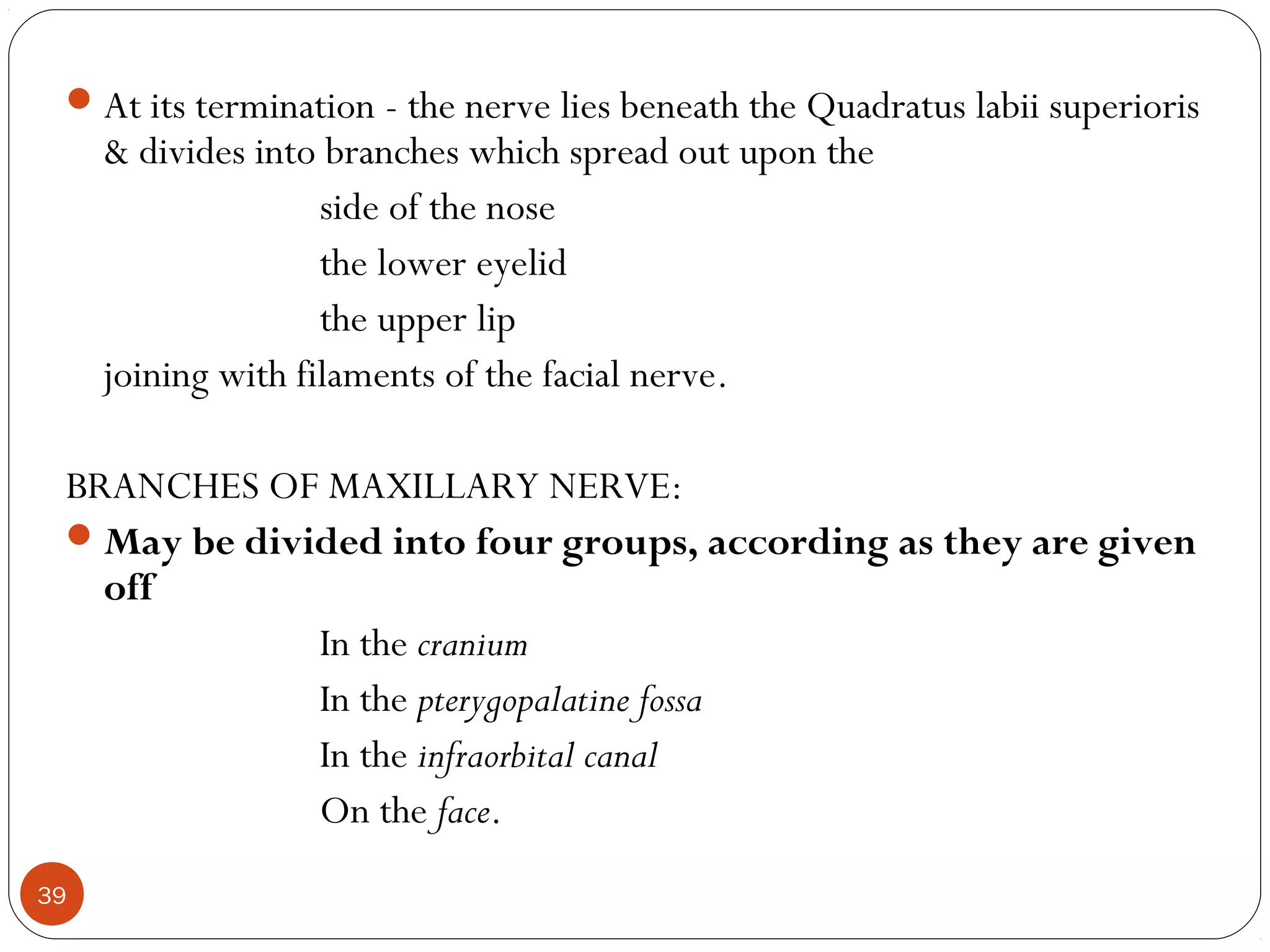 At its termination - the nerve lies beneath the Quadratus labii superioris
& divides into branches which spread out upon the
side of the nose
the lower eyelid
the upper lip
joining with filaments of the facial nerve.
BRANCHES OF MAXILLARY NERVE:
May be divided into four groups, according as they are given
off
In the cranium
In the pterygopalatine fossa
In the infraorbital canal
On the face.
39
 