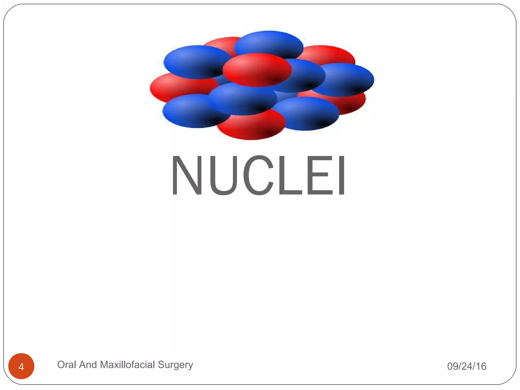 NUCLEI
09/24/16Oral And Maxillofacial Surgery4
 