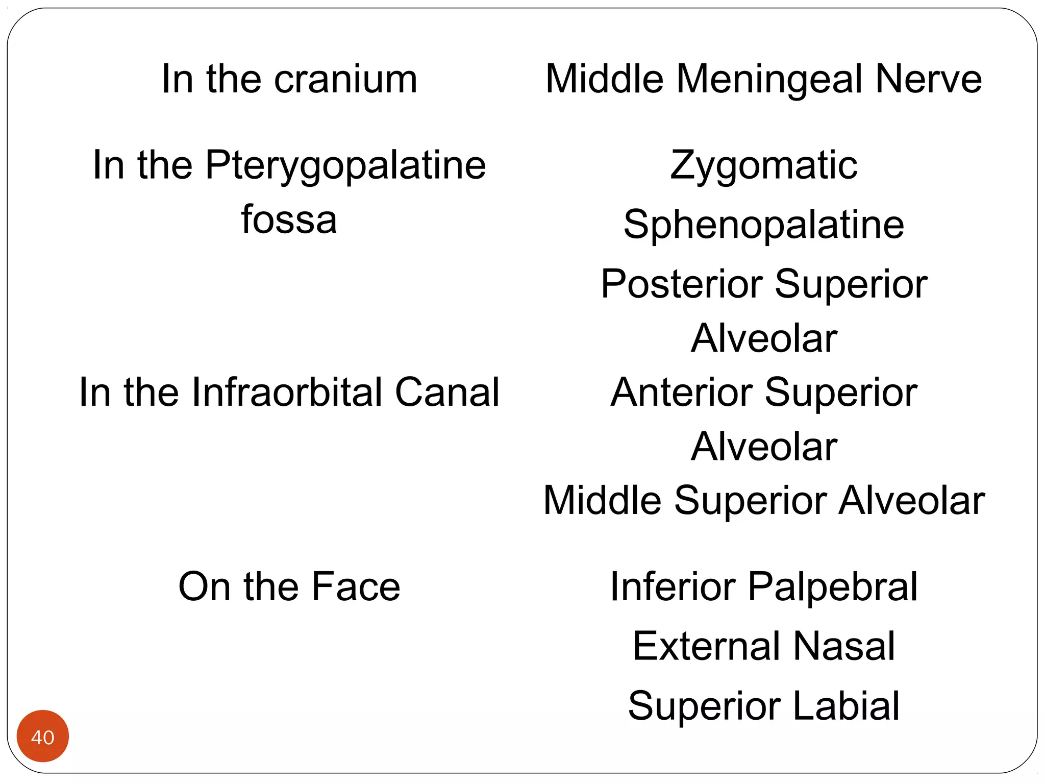 In the cranium Middle Meningeal Nerve
In the Pterygopalatine
fossa
Zygomatic
Sphenopalatine
Posterior Superior
Alveolar
In the Infraorbital Canal Anterior Superior
Alveolar
Middle Superior Alveolar
On the Face Inferior Palpebral
External Nasal
Superior Labial
40
 