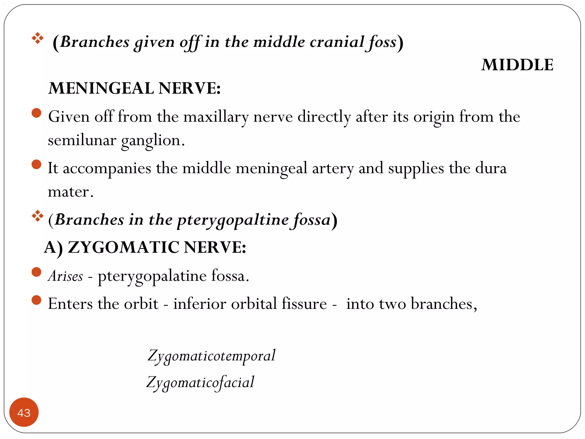  (Branches given off in the middle cranial foss)
MIDDLE
MENINGEAL NERVE:
Given off from the maxillary nerve directly after its origin from the
semilunar ganglion.
It accompanies the middle meningeal artery and supplies the dura
mater.
(Branches in the pterygopaltine fossa)
A) ZYGOMATIC NERVE:
Arises - pterygopalatine fossa.
Enters the orbit - inferior orbital fissure - into two branches,
Zygomaticotemporal
Zygomaticofacial
43
 