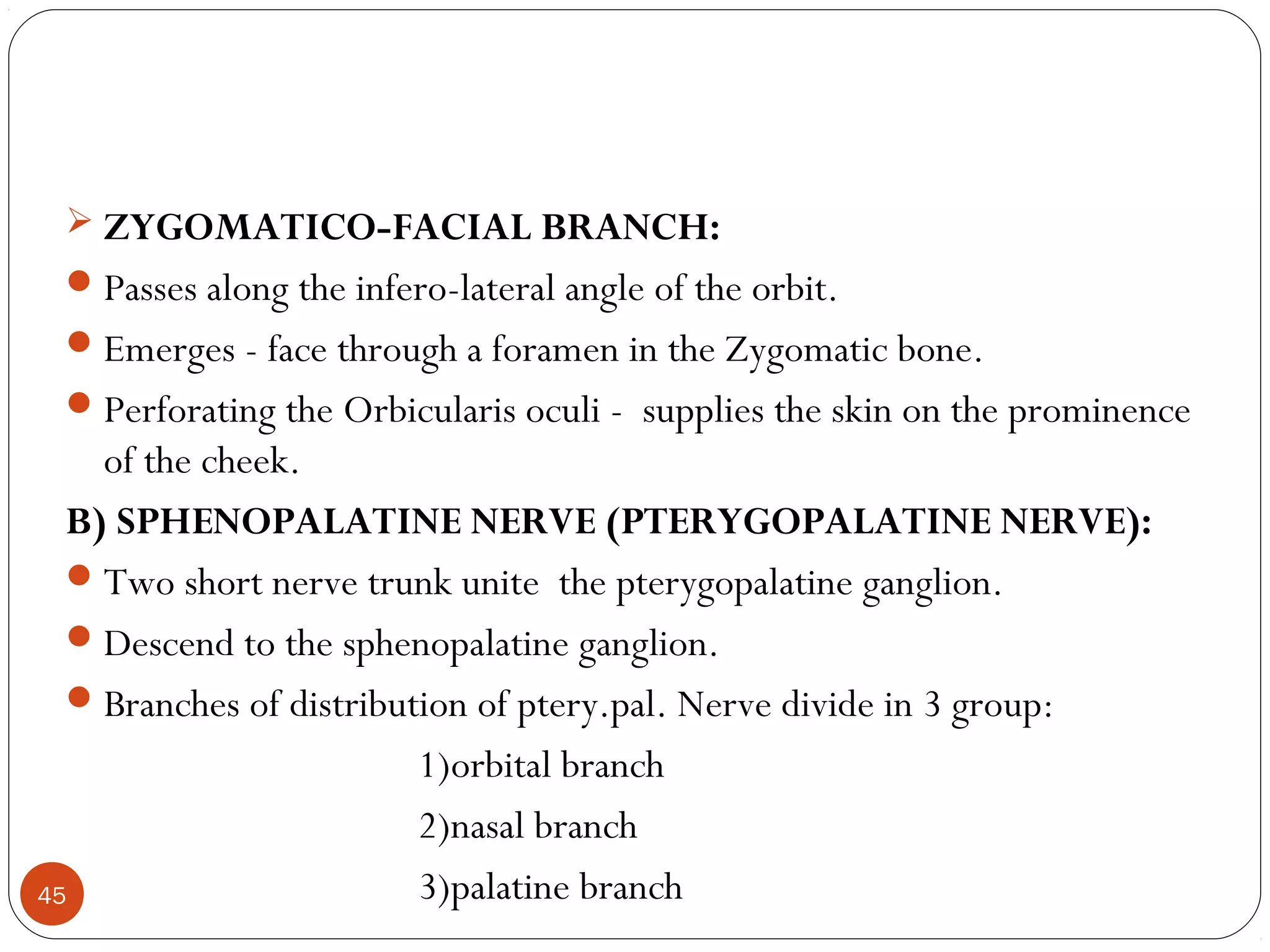  ZYGOMATICO-FACIAL BRANCH:
Passes along the infero-lateral angle of the orbit.
Emerges - face through a foramen in the Zygomatic bone.
Perforating the Orbicularis oculi - supplies the skin on the prominence
of the cheek.
B) SPHENOPALATINE NERVE (PTERYGOPALATINE NERVE):
Two short nerve trunk unite the pterygopalatine ganglion.
Descend to the sphenopalatine ganglion.
Branches of distribution of ptery.pal. Nerve divide in 3 group:
1)orbital branch
2)nasal branch
3)palatine branch45
 