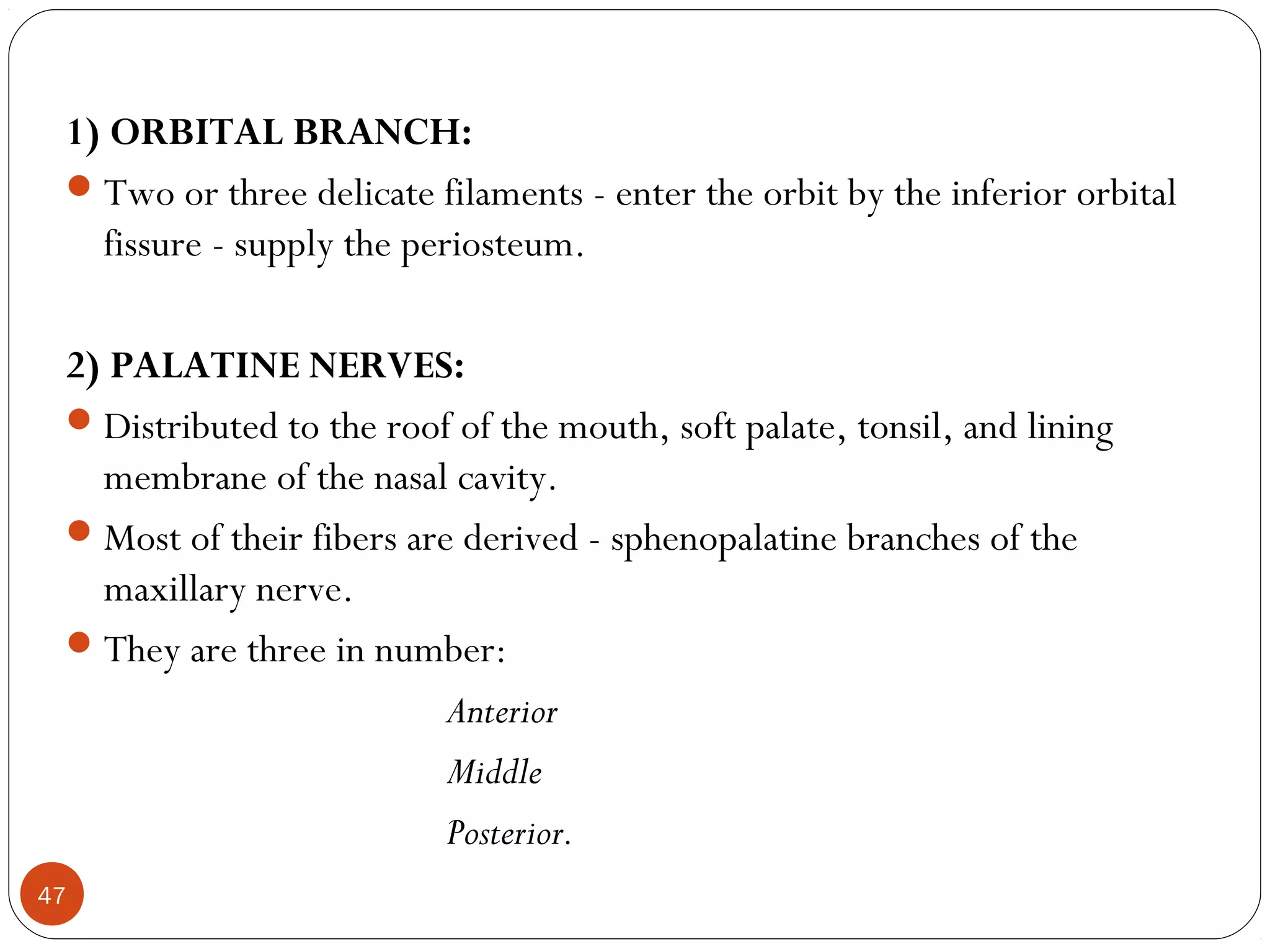 1) ORBITAL BRANCH:
Two or three delicate filaments - enter the orbit by the inferior orbital
fissure - supply the periosteum.
2) PALATINE NERVES:
Distributed to the roof of the mouth, soft palate, tonsil, and lining
membrane of the nasal cavity.
Most of their fibers are derived - sphenopalatine branches of the
maxillary nerve.
They are three in number:
Anterior
Middle
Posterior.
47
 