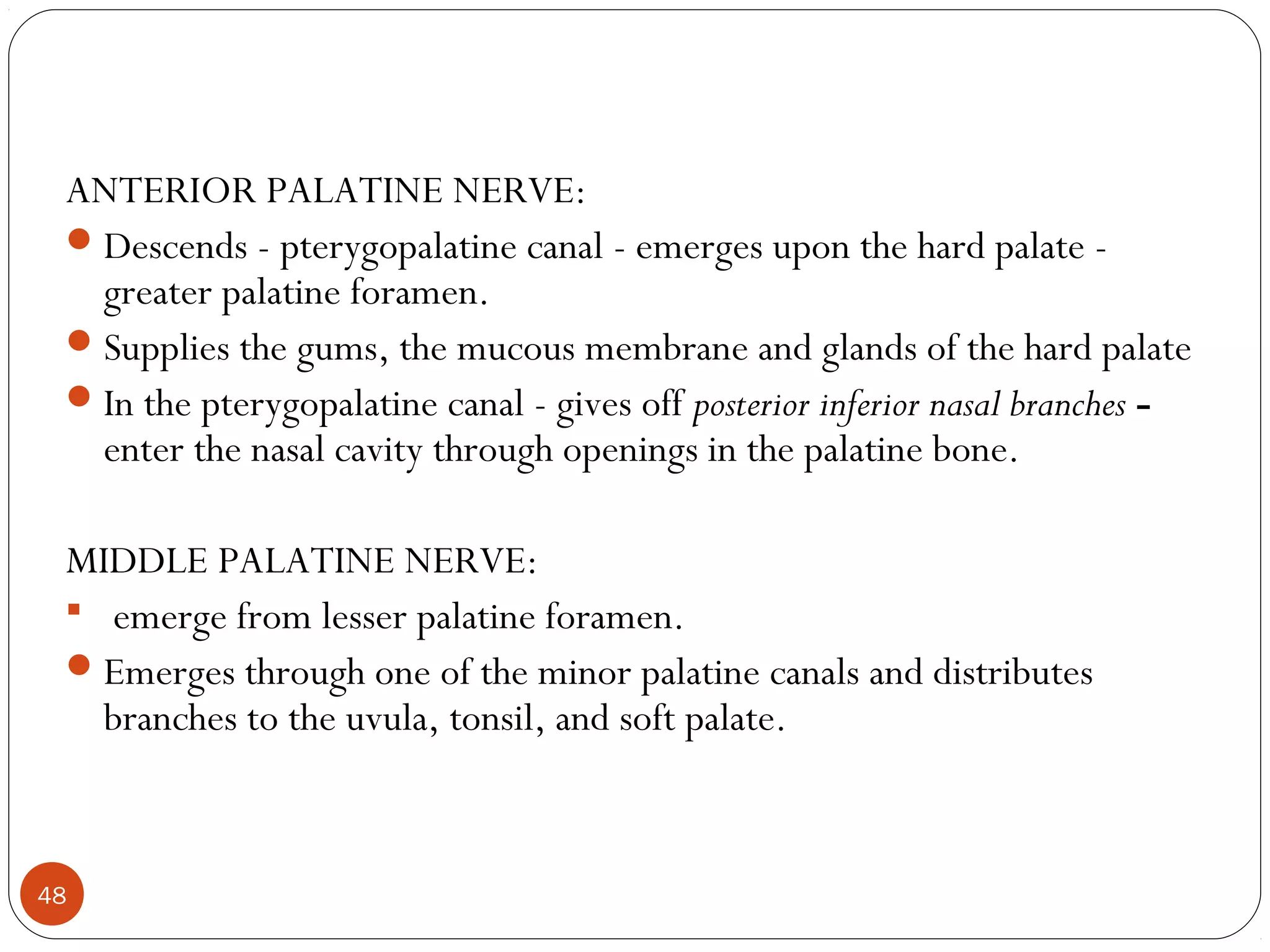 ANTERIOR PALATINE NERVE:
Descends - pterygopalatine canal - emerges upon the hard palate -
greater palatine foramen.
Supplies the gums, the mucous membrane and glands of the hard palate
In the pterygopalatine canal - gives off posterior inferior nasal branches -
enter the nasal cavity through openings in the palatine bone.
MIDDLE PALATINE NERVE:
 emerge from lesser palatine foramen.
Emerges through one of the minor palatine canals and distributes
branches to the uvula, tonsil, and soft palate.
48
 