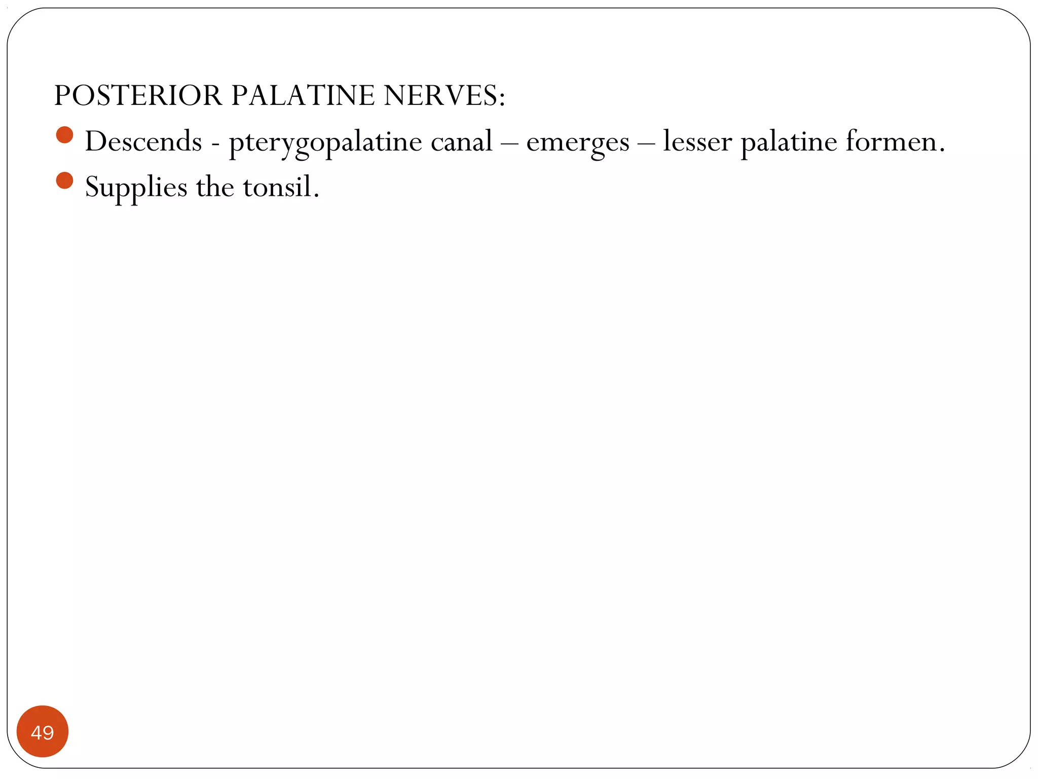 POSTERIOR PALATINE NERVES:
Descends - pterygopalatine canal – emerges – lesser palatine formen.
Supplies the tonsil.
49
 