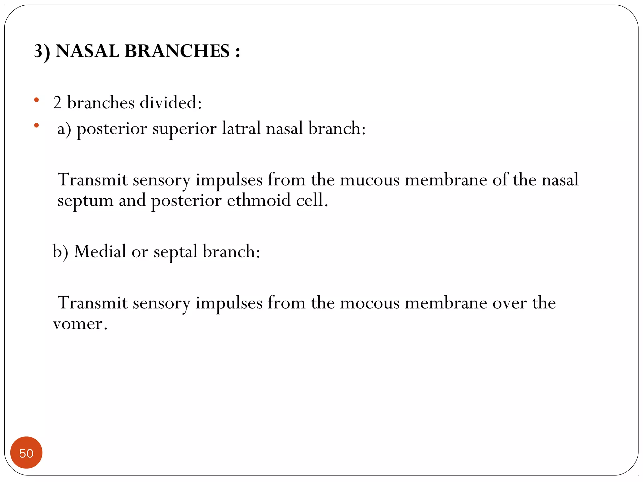 3) NASAL BRANCHES :
• 2 branches divided:
• a) posterior superior latral nasal branch:
Transmit sensory impulses from the mucous membrane of the nasal
septum and posterior ethmoid cell.
b) Medial or septal branch:
Transmit sensory impulses from the mocous membrane over the
vomer.
50
 