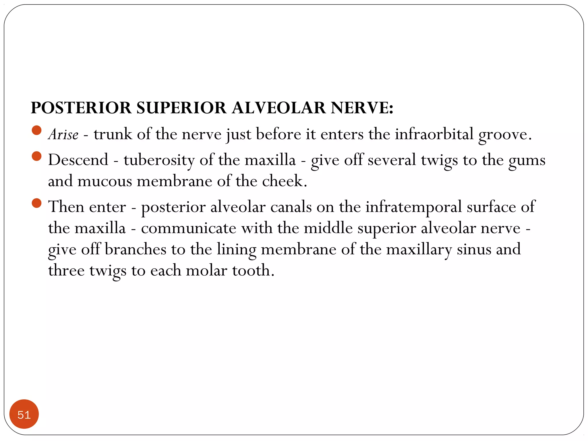 POSTERIOR SUPERIOR ALVEOLAR NERVE:
Arise - trunk of the nerve just before it enters the infraorbital groove.
Descend - tuberosity of the maxilla - give off several twigs to the gums
and mucous membrane of the cheek.
Then enter - posterior alveolar canals on the infratemporal surface of
the maxilla - communicate with the middle superior alveolar nerve -
give off branches to the lining membrane of the maxillary sinus and
three twigs to each molar tooth.
51
 