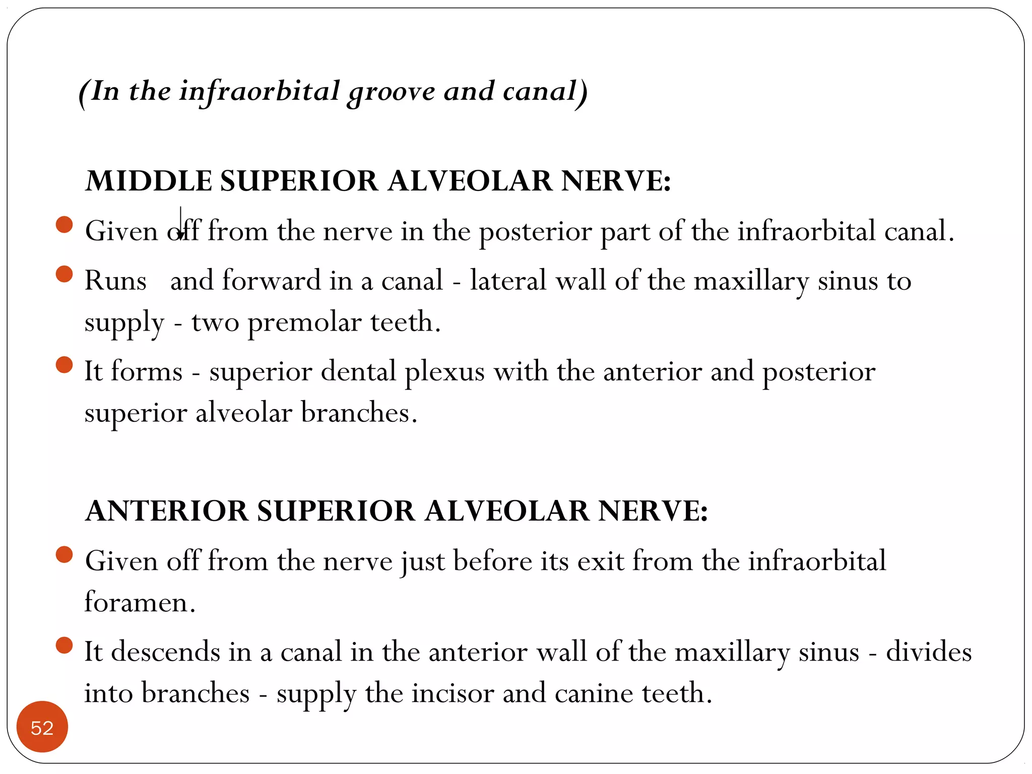 (In the infraorbital groove and canal)
MIDDLE SUPERIOR ALVEOLAR NERVE:
Given off from the nerve in the posterior part of the infraorbital canal.
Runs and forward in a canal - lateral wall of the maxillary sinus to
supply - two premolar teeth.
It forms - superior dental plexus with the anterior and posterior
superior alveolar branches.
ANTERIOR SUPERIOR ALVEOLAR NERVE:
Given off from the nerve just before its exit from the infraorbital
foramen.
It descends in a canal in the anterior wall of the maxillary sinus - divides
into branches - supply the incisor and canine teeth.
52
 
