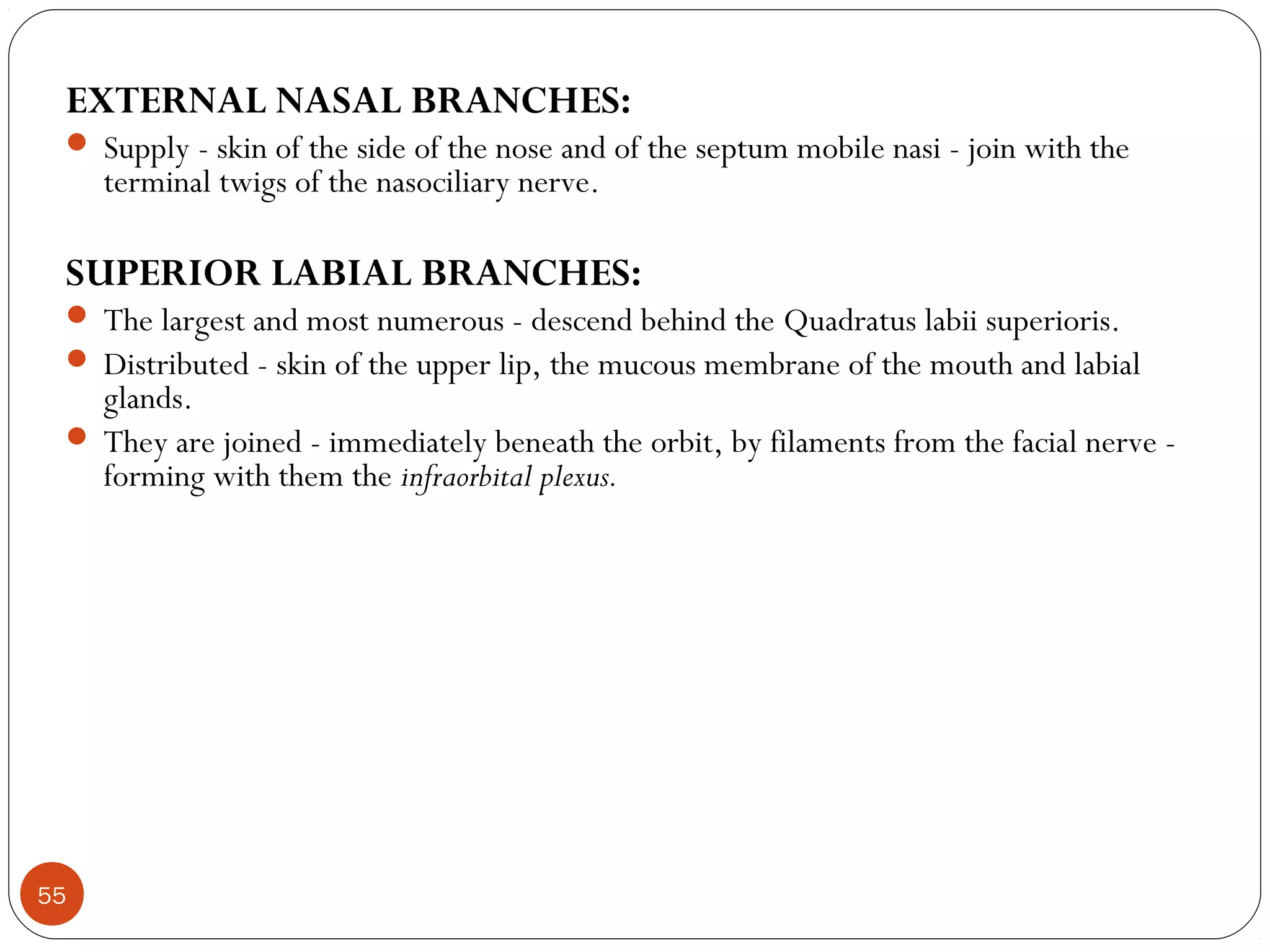 EXTERNAL NASAL BRANCHES:
 Supply - skin of the side of the nose and of the septum mobile nasi - join with the
terminal twigs of the nasociliary nerve.
SUPERIOR LABIAL BRANCHES:
 The largest and most numerous - descend behind the Quadratus labii superioris.
 Distributed - skin of the upper lip, the mucous membrane of the mouth and labial
glands.
 They are joined - immediately beneath the orbit, by filaments from the facial nerve -
forming with them the infraorbital plexus.
55
 