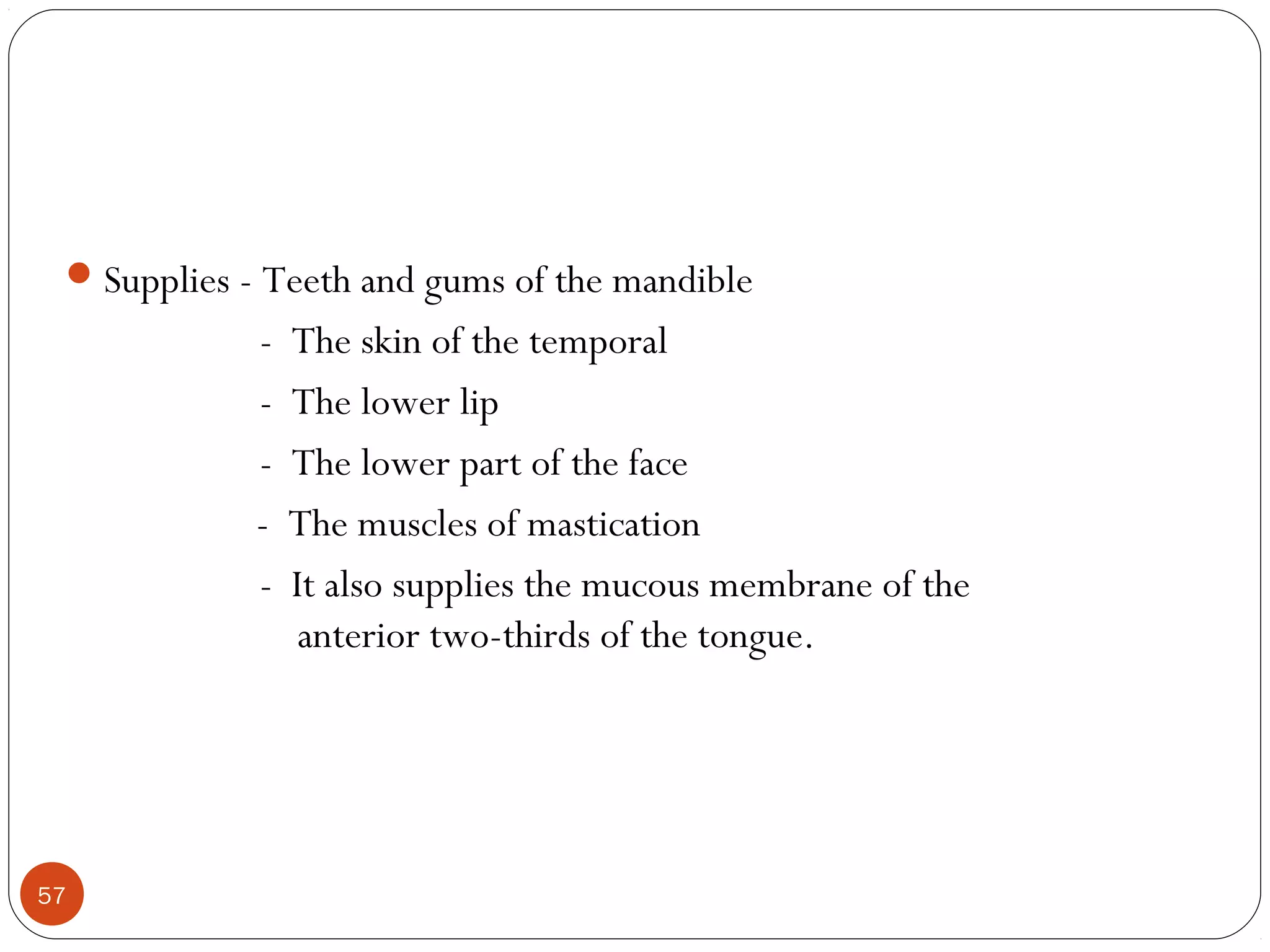 Supplies - Teeth and gums of the mandible
- The skin of the temporal
- The lower lip
- The lower part of the face
- The muscles of mastication
- It also supplies the mucous membrane of the
anterior two-thirds of the tongue.
57
 
