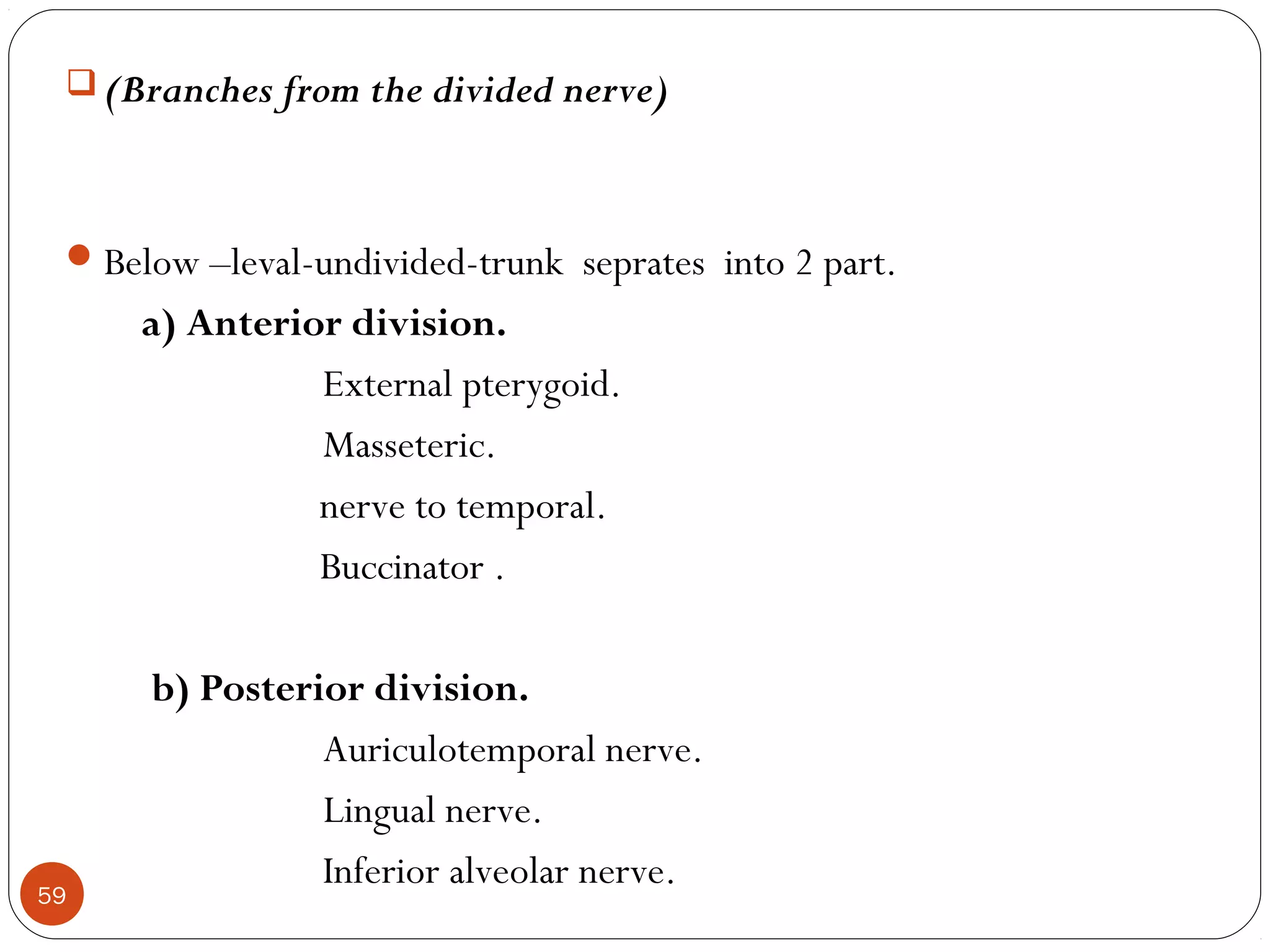  (Branches from the divided nerve)
Below –leval-undivided-trunk seprates into 2 part.
a) Anterior division.
External pterygoid.
Masseteric.
nerve to temporal.
Buccinator .
b) Posterior division.
Auriculotemporal nerve.
Lingual nerve.
Inferior alveolar nerve.59
 