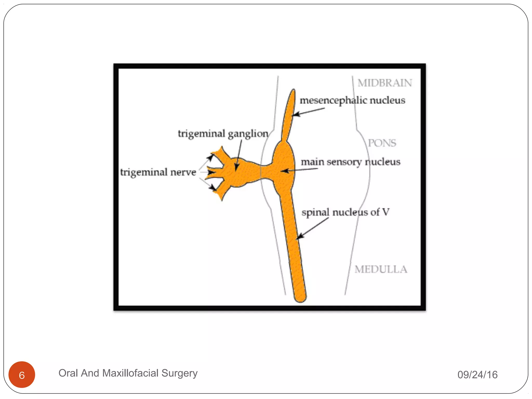 09/24/16Oral And Maxillofacial Surgery6
 