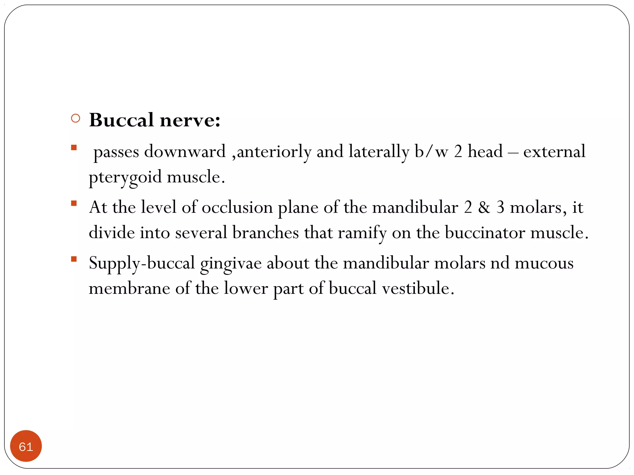 o Buccal nerve:
 passes downward ,anteriorly and laterally b/w 2 head – external
pterygoid muscle.
 At the level of occlusion plane of the mandibular 2 & 3 molars, it
divide into several branches that ramify on the buccinator muscle.
 Supply-buccal gingivae about the mandibular molars nd mucous
membrane of the lower part of buccal vestibule.
61
 