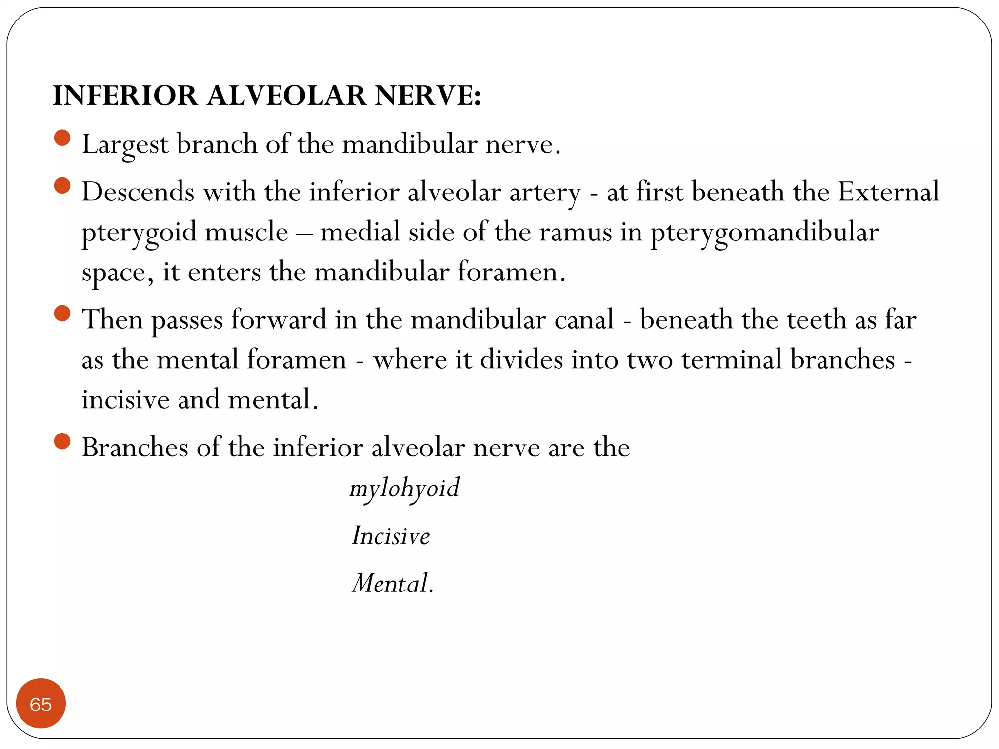 INFERIOR ALVEOLAR NERVE:
Largest branch of the mandibular nerve.
Descends with the inferior alveolar artery - at first beneath the External
pterygoid muscle – medial side of the ramus in pterygomandibular
space, it enters the mandibular foramen.
Then passes forward in the mandibular canal - beneath the teeth as far
as the mental foramen - where it divides into two terminal branches -
incisive and mental.
Branches of the inferior alveolar nerve are the
mylohyoid
Incisive
Mental.
65
 
