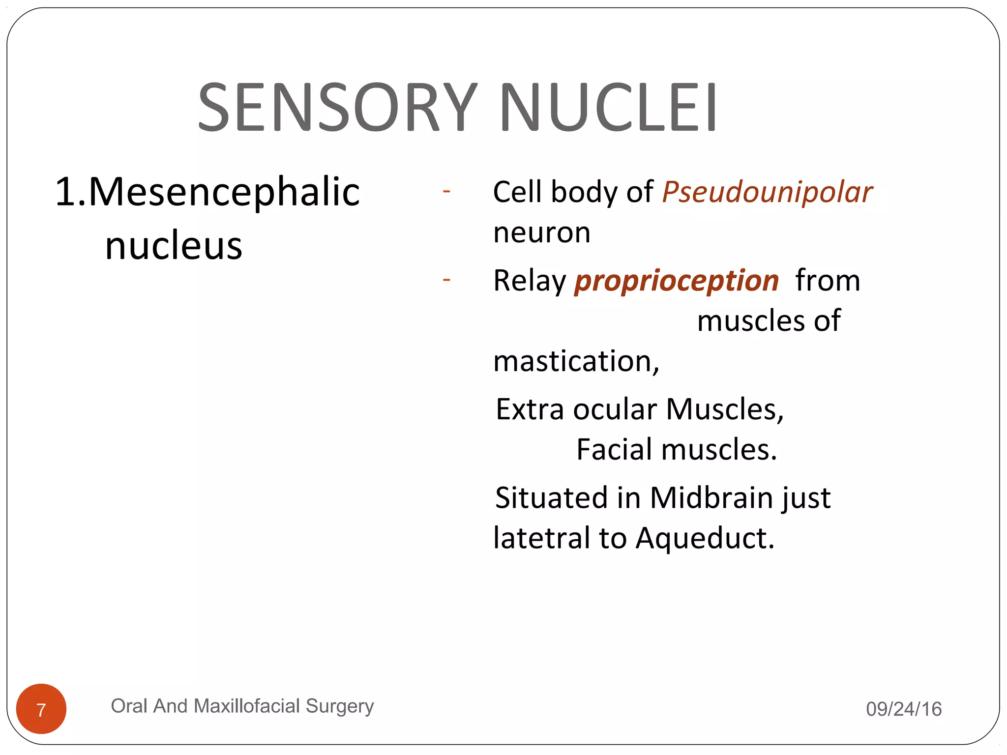 SENSORY NUCLEI
1.Mesencephalic
nucleus
- Cell body of Pseudounipolar
neuron
- Relay proprioception from
muscles of
mastication,
Extra ocular Muscles,
Facial muscles.
Situated in Midbrain just
latetral to Aqueduct.
09/24/16Oral And Maxillofacial Surgery7
 