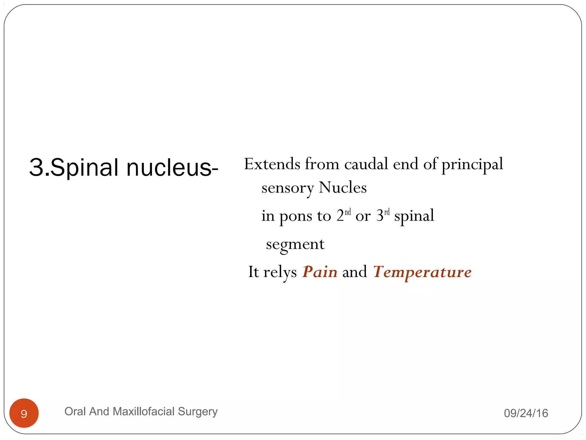 3.Spinal nucleus- Extends from caudal end of principal
sensory Nucles
in pons to 2nd
or 3rd
spinal
segment
It relys Pain and Temperature
09/24/16Oral And Maxillofacial Surgery9
 