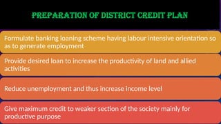 Credit Planning.pdf Comprehensive Overview of District Credit Plans and Lead Bank Scheme in ...