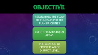 Comprehensive Overview of District Credit Plans and Lead Bank Scheme in ...