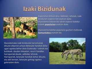 Espezietan biltzen dira. Adibidez, lehoiek, izaki
                                    bizidunen espezie bat osotzen dute.
                                    Ekosistema batean bizi diren espezie bateko
                                    kideek populazioa osatzen dute.

                                    Ekosistema bateko populazio guztien multzoak
                                    komunitatea osotzen du.



Ekosistemako izaki bizidunek harremanak
dituzte elkarren artean.Belarjale handiek belar
ugari egotea behar dute.Esaterako –zebrek eta
bufaloek. dauden lekuetan, neurri handiko
harrapariak daude, adibidez lehoiak.
Harrapariek, belarjale handiak behar dituzte,
eta aldi berean, belarjale gehiegi egotea
galarazten dute.
 