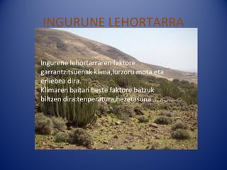INGURUNE LEHORTARRA

Ingurene lehortarraren faktore
garrantzitsuenak klima,lurzoru mota eta
erliebea dira.
Klimaren baitan beste faktore batzuk
biltzen dira:tenperatura,hezetasuna………….
 