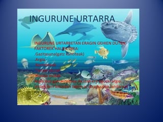 INGURUNE URTARRA
INGURUNE URTARRA

INGURUNE URTARRETAN ERAGIN GEHIEN DUTEN
FAKTOREK HAUEK DIRA:
.Gazitasuna(gatz kantiteak)
.Argia
.Korronteak
.Tenperaturak
.Hondo motak
Argia oso garrantzitsua da,izan ere eguzki argia
iristen den lekuetan baino ez dira hazten landareak
eta algak.
 