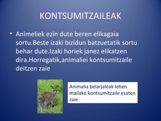 KONTSUMITZAILEAK
• Animeliek ezin dute beren elikagaia
  sortu.Beste izaki bizidun batzuetatik sortu
  behar dute.Izaki horiek janez elikatzen
  dira.Horregatik,animaliei kontsumitzaile
  deitzen zaie

                     Animalia belarjaleak lehen
                     mailako kontsumitzaile esaten
                     zaie
 