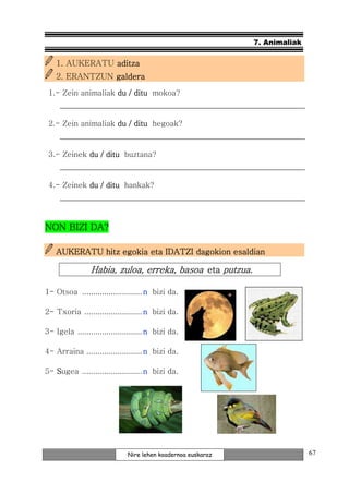 7. Animaliak


    1. AUKERATU aditza
    2. ERANTZUN galdera
 1.- Zein animaliak du / ditu mokoa?



 2.- Zein animaliak du / ditu hegoak?



 3.- Zeinek du / ditu buztana?



 4.- Zeinek du / ditu hankak?




NON BIZI DA?

    AUKERATU hitz egokia eta IDATZI dagokion esaldian

                Habia, zuloa, erreka, basoa eta putzua.

1- Otsoa ........................... n bizi da.

2- Txoria .......................... n bizi da.

3- Igela ............................. n bizi da.

4- Arraina ......................... n bizi da.

5- Sugea ........................... n bizi da.




                              Nire lehen koadernoa euskaraz                  67
 