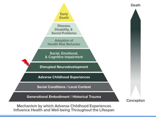 Biological Embedding of Adversity