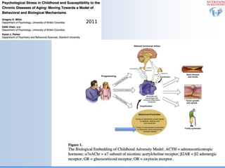 Biological Embedding of Adversity