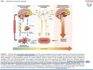 Biological Embedding of Adversity