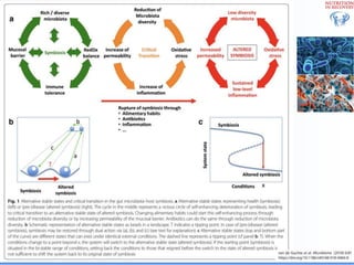 Biological Embedding of Adversity