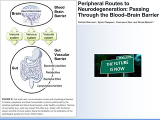 Biological Embedding of Adversity
