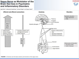 Biological Embedding of Adversity