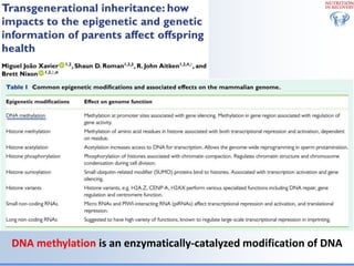 Biological Embedding of Adversity