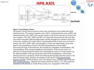 Biological Embedding of Adversity