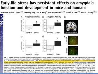 Biological Embedding of Adversity