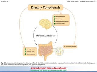 Biological Embedding of Adversity