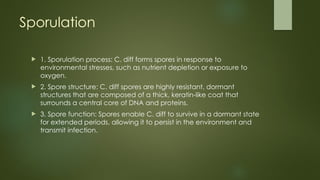 Sporulation
 1. Sporulation process: C. diff forms spores in response to
environmental stresses, such as nutrient depletion or exposure to
oxygen.
 2. Spore structure: C. diff spores are highly resistant, dormant
structures that are composed of a thick, keratin-like coat that
surrounds a central core of DNA and proteins.
 3. Spore function: Spores enable C. diff to survive in a dormant state
for extended periods, allowing it to persist in the environment and
transmit infection.
 