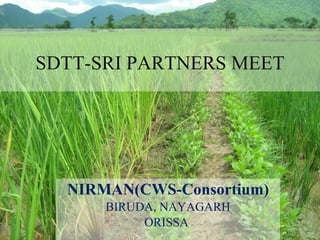 SDTT-SRI PARTNERS MEET NIRMAN(CWS-Consortium) BIRUDA, NAYAGARH ORISSA  