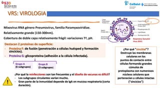 Nirsevimab 20.09 DEFNITIVO Octubre 2023.pptx