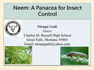 Neem: A Panacea for Insect
Control
Nirupa Gadi
Junior
Charles M. Russell High School
Great Falls, Montana 59404
Email: nirupagadi@yahoo.com
 